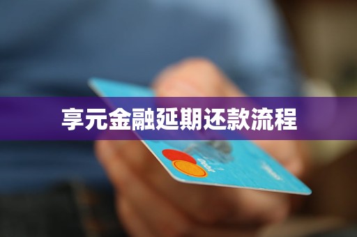 享元金融延期還款流程