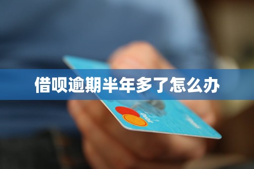 借呗逾期半年多了怎么办