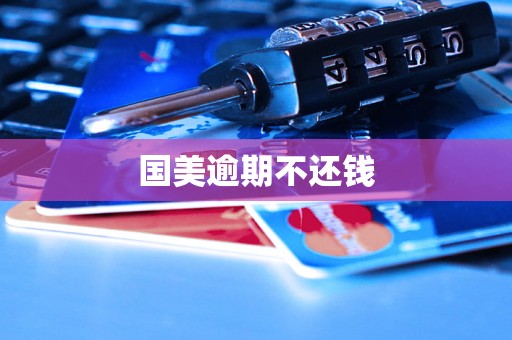 国美逾期不还钱