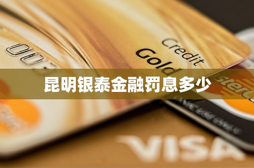 昆明銀泰金融罰息多少