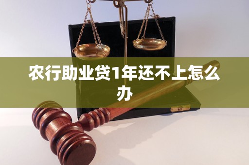 農(nóng)行助業(yè)貸1年還不上怎么辦