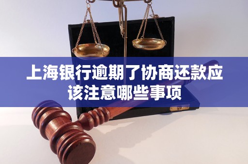 上海銀行逾期了協(xié)商還款應該注意哪些事項