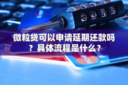 微粒貸可以申請(qǐng)延期還款嗎？具體流程是什么？