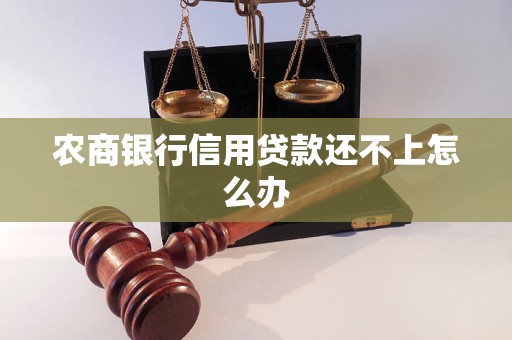 農(nóng)商銀行信用貸款還不上怎么辦