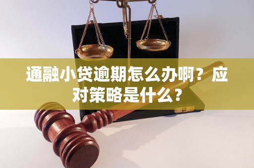 通融小貸逾期怎么辦??？應(yīng)對策略是什么？