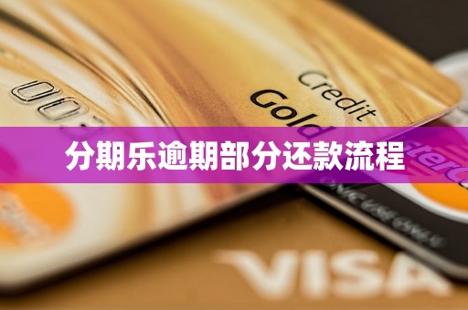 分期乐逾期部分还款流程