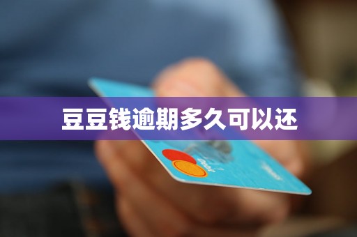 豆豆钱逾期多久可以还
