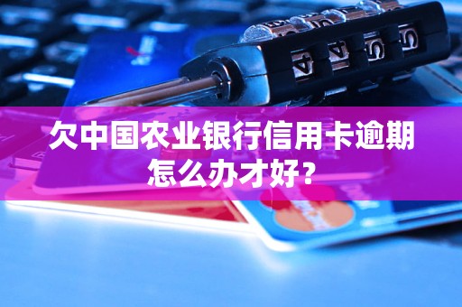 欠中國(guó)農(nóng)業(yè)銀行信用卡逾期怎么辦才好？