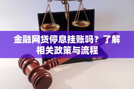 金融網(wǎng)貸停息掛賬嗎？了解相關(guān)政策與流程