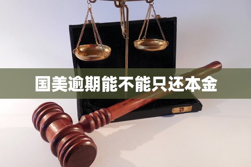国美逾期能不能只还本金