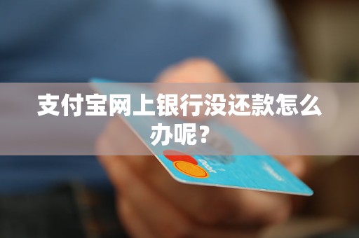 支付寶網(wǎng)上銀行沒還款怎么辦呢？