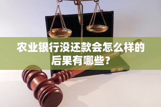 農(nóng)業(yè)銀行沒還款會怎么樣的后果有哪些？