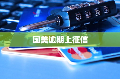 国美逾期上征信