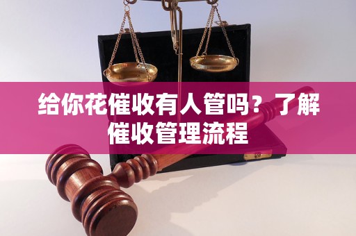 給你花催收有人管嗎？了解催收管理流程