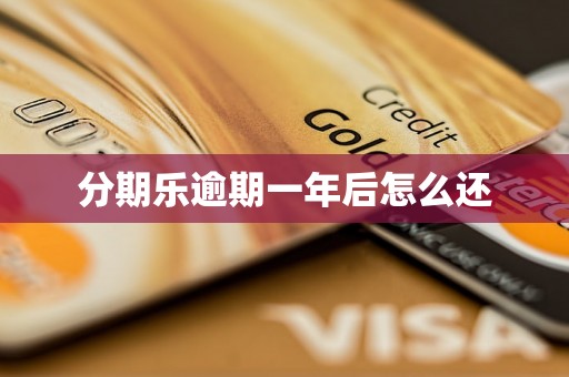 分期乐逾期一年后怎么还