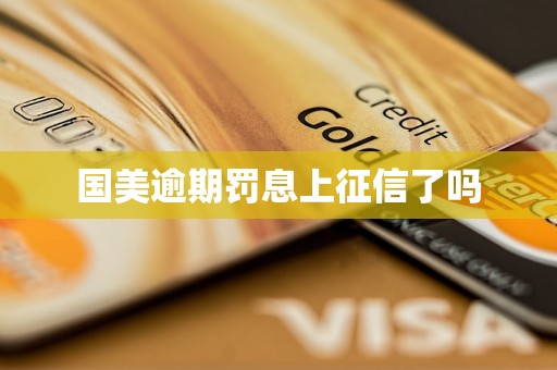 国美逾期罚息上征信了吗