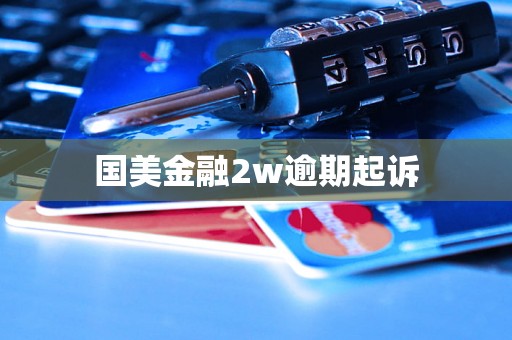 国美金融2w逾期起诉
