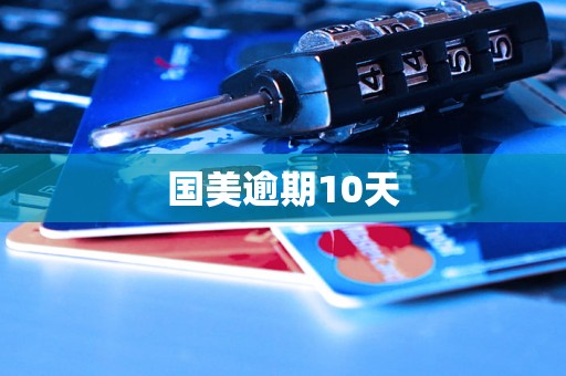 国美逾期10天 国美逾期10天