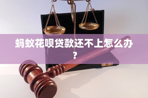 螞蟻花唄貸款還不上怎么辦？