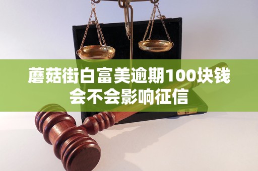 蘑菇街白富美逾期100塊錢會(huì)不會(huì)影響征信