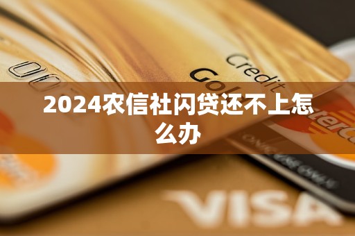 2024農(nóng)信社閃貸還不上怎么辦