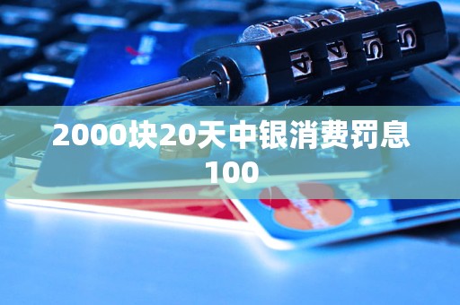 2000塊20天中銀消費(fèi)罰息100