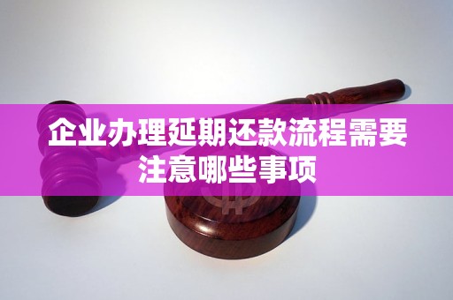 企業(yè)辦理延期還款流程需要注意哪些事項(xiàng)