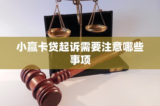 小赢卡贷起诉需要注意哪些事项