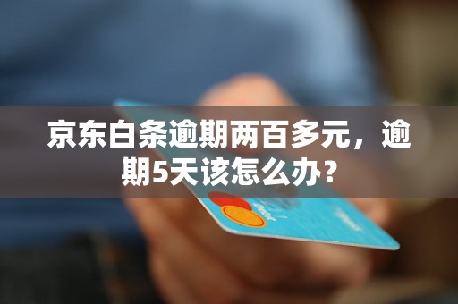 京东白条逾期两百多元，逾期5天该怎么办？