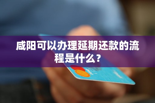 咸陽可以辦理延期還款的流程是什么？