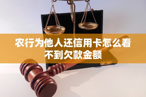 農(nóng)行為他人還信用卡怎么看不到欠款金額