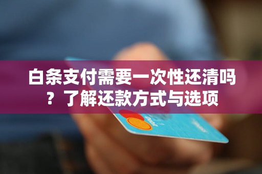 白條支付需要一次性還清嗎？了解還款方式與選項