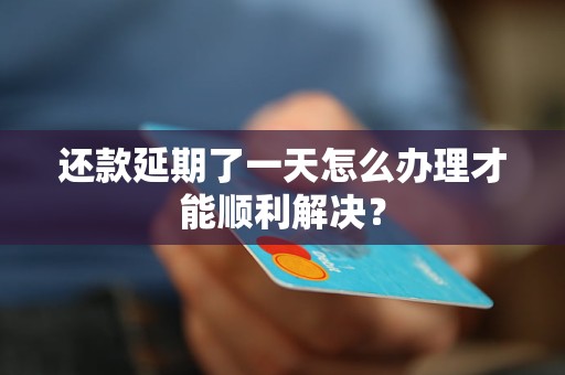 還款延期了一天怎么辦理才能順利解決？