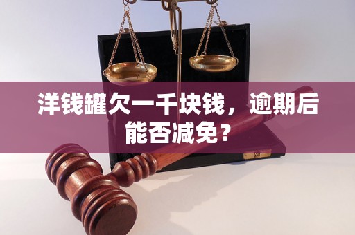 洋钱罐欠一千块钱，逾期后能否减免？