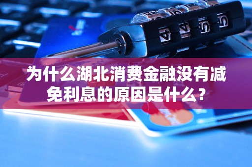 為什么湖北消費(fèi)金融沒有減免利息的原因是什么？