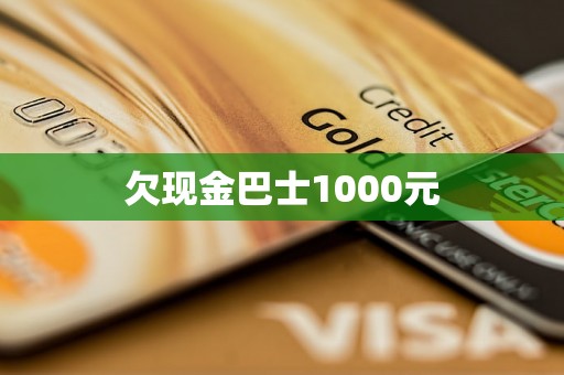 欠现金巴士1000元