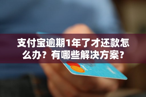 支付宝逾期1年了才还款怎么办？有哪些解决方案？