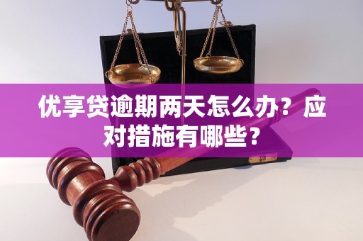 優(yōu)享貸逾期兩天怎么辦？應(yīng)對(duì)措施有哪些？