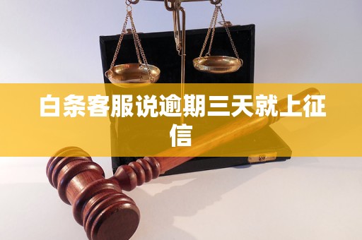 白條客服說逾期三天就上征信