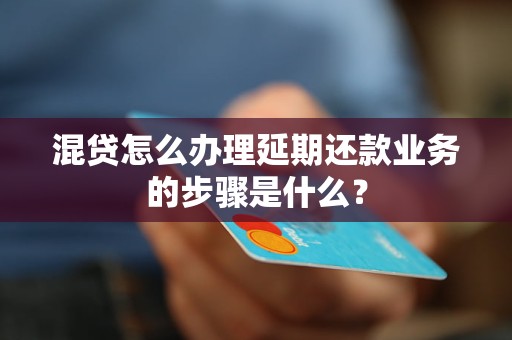 混貸怎么辦理延期還款業(yè)務(wù)的步驟是什么？