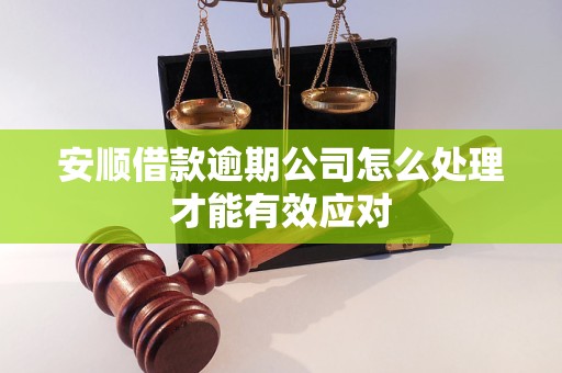 安順借款逾期公司怎么處理才能有效應(yīng)對