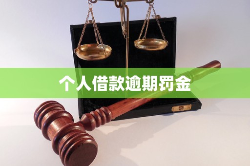 個(gè)人借款逾期罰金