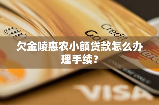 欠金陵惠農(nóng)小額貸款怎么辦理手續(xù)？