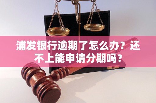 浦发银行逾期了怎么办？还不上能申请分期吗？