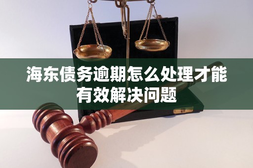 海東債務(wù)逾期怎么處理才能有效解決問題