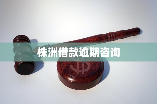 株洲借款逾期咨詢