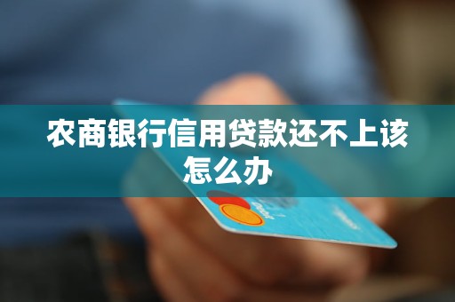 農(nóng)商銀行信用貸款還不上該怎么辦