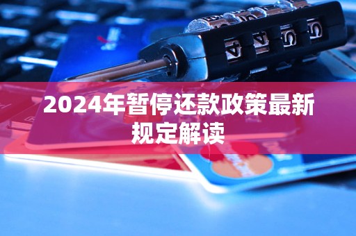 2024年暫停還款政策最新規(guī)定解讀