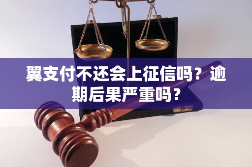 翼支付不还会上征信吗？逾期后果严重吗？