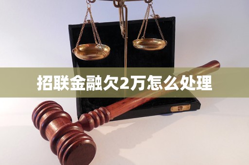 招联金融欠2万怎么处理